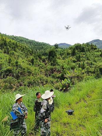 嚴(yán)把森林培育質(zhì)量關(guān)，譜寫資源培育新篇章