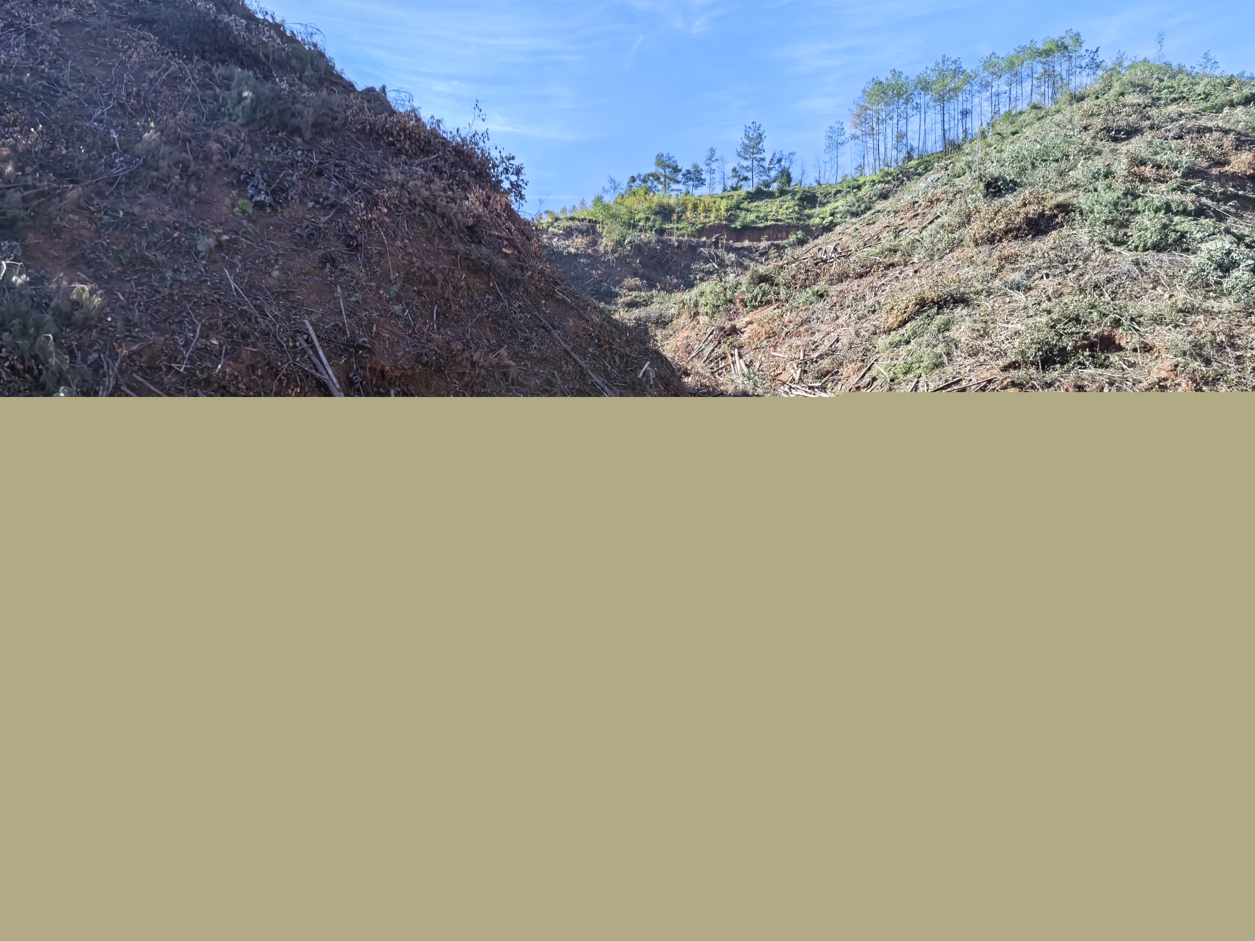 平安常青，我們在行動——常青分公司開展安全生產日活動