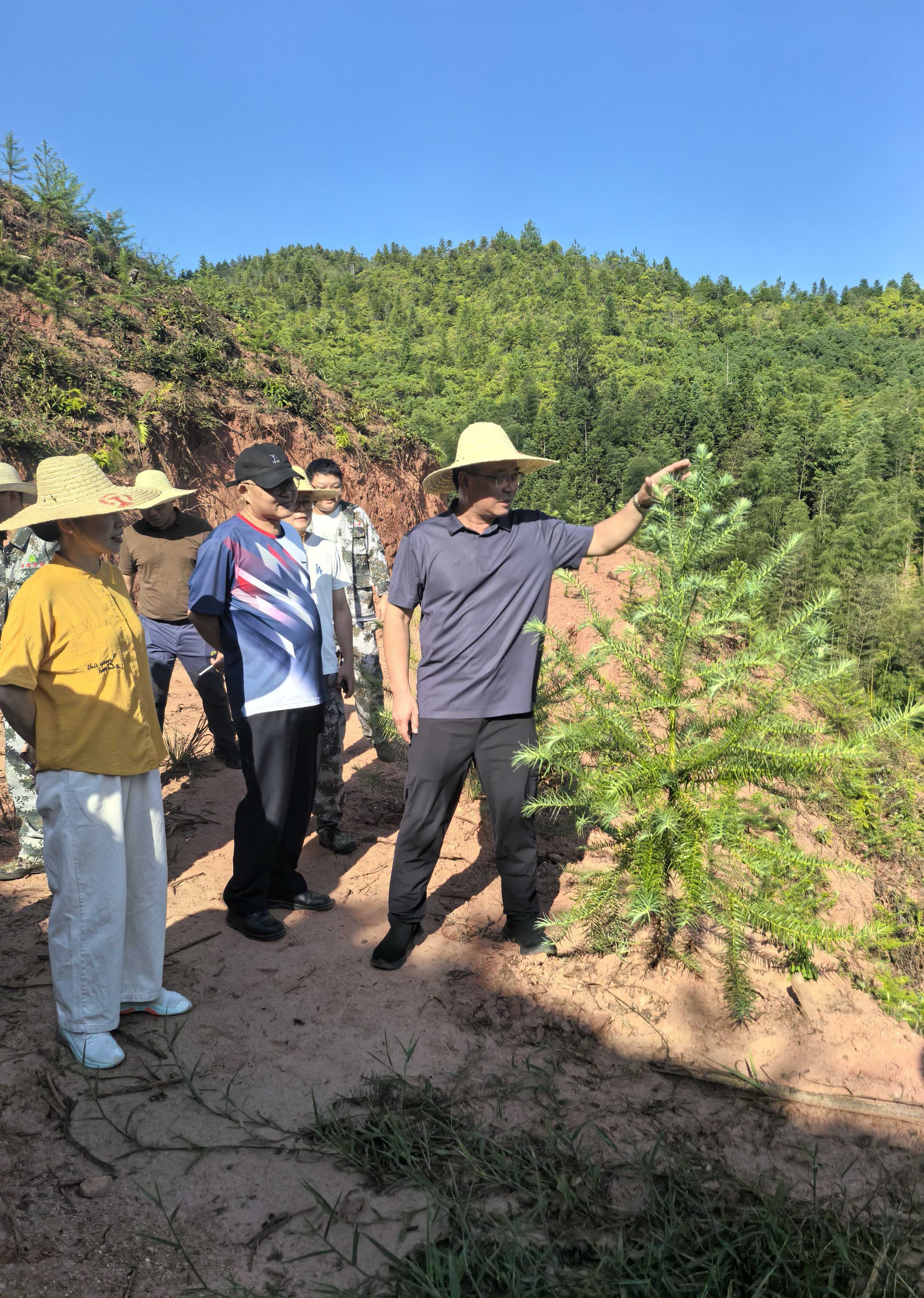 福建省林科院副院長鄭仁華一行蒞臨福建金森 指導森林資源培育工作