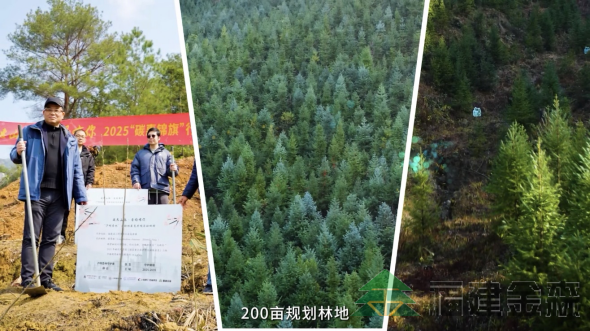 全國(guó)首個(gè)!!!“滬明杏林”醫(yī)療碳匯林項(xiàng)目成功啟動(dòng) 福建金森攜手多方共推醫(yī)療與生態(tài)融合發(fā)展新范式